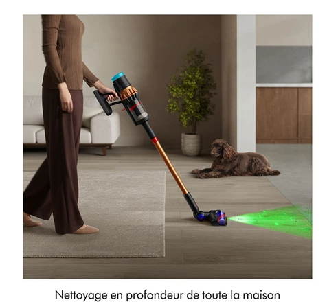 Aspirateur balai Dyson V16 Piston Animal